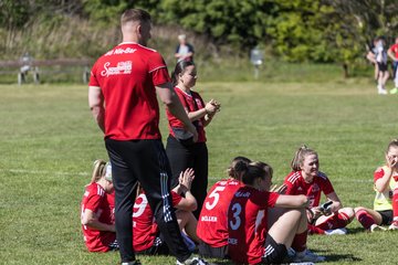 Bild 467 - F SG NieBar - IF Stjernen Flensborg : Ergebnis: 2:0